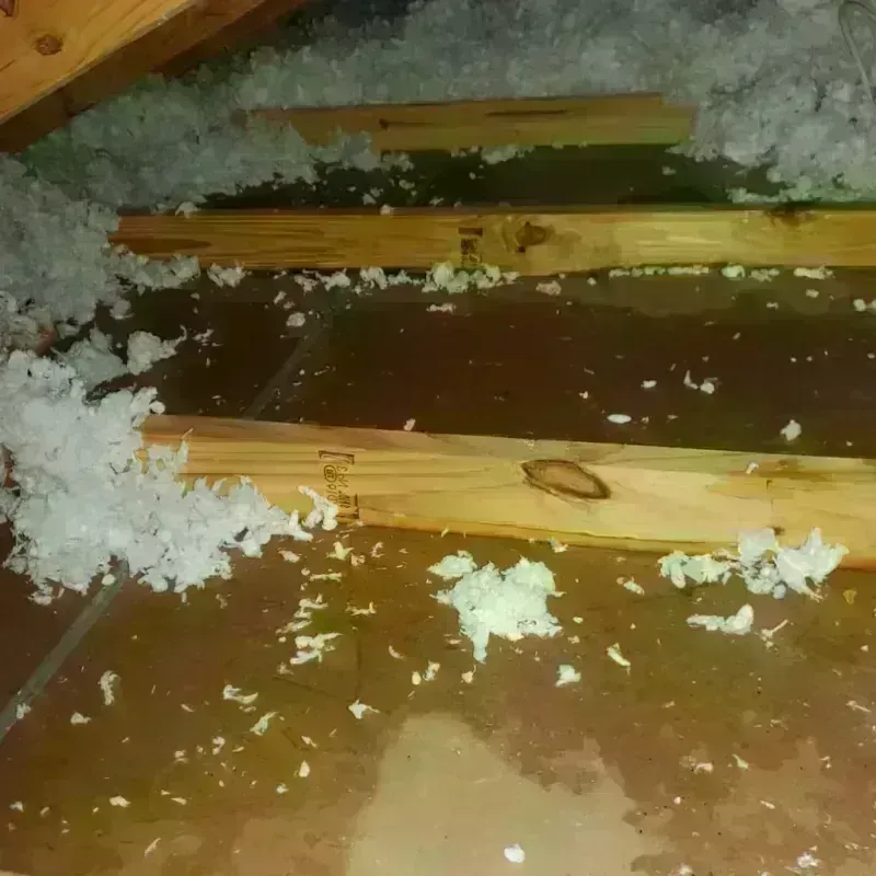 Attic Water Damage in Jasper, GA