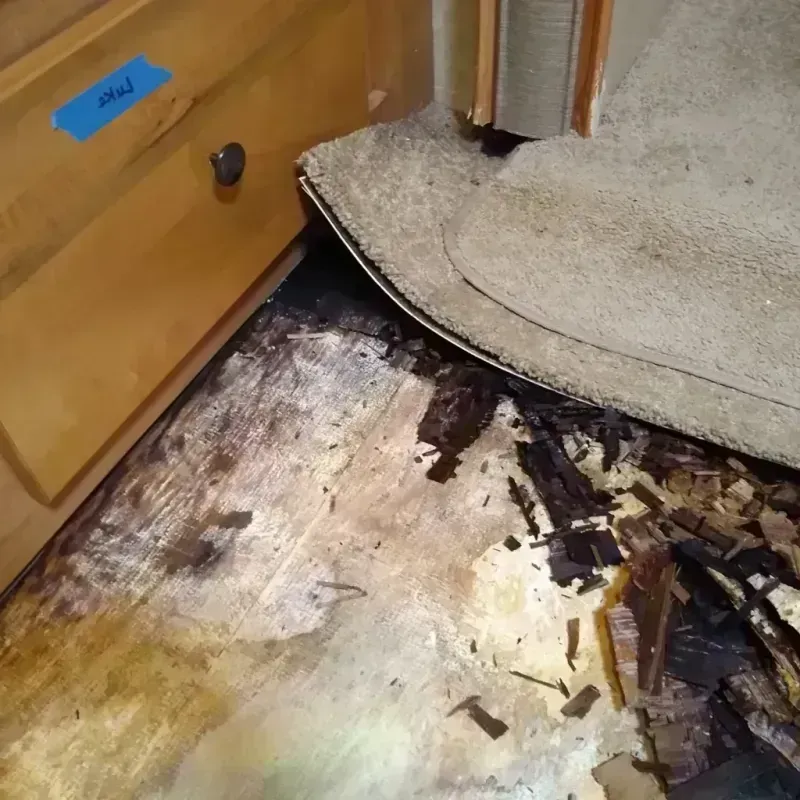 Best Wood Floor Water Damage Service in Jasper, GA